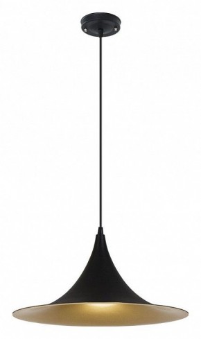 Подвесной светильник Arte Lamp Carmel A7080SP-1BK в Добрянке - dobryanka.ok-mebel.com | фото 2