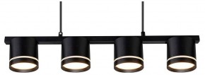 Подвесной светильник Arte Lamp Legacy A8024SP-4BK в Добрянке - dobryanka.ok-mebel.com | фото