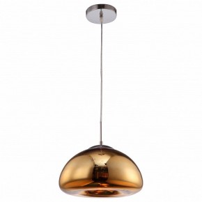 Подвесной светильник Arte Lamp Swift A8041SP-1GO в Добрянке - dobryanka.ok-mebel.com | фото 2