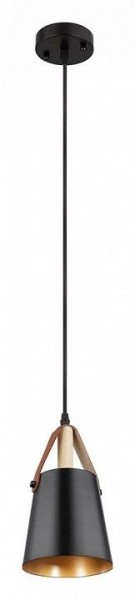 Подвесной светильник Arte Lamp Thomas A7032SP-1BK в Добрянке - dobryanka.ok-mebel.com | фото 2