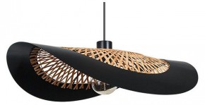 Подвесной светильник Arte Lamp Woodstock A7059SP-1BK в Добрянке - dobryanka.ok-mebel.com | фото