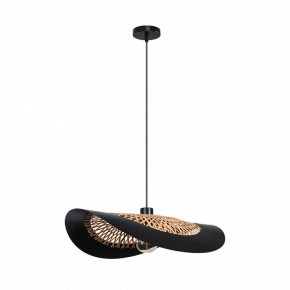 Подвесной светильник Arte Lamp Woodstock A7059SP-1BK в Добрянке - dobryanka.ok-mebel.com | фото 2