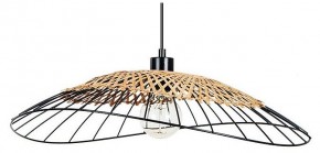 Подвесной светильник Arte Lamp Woodstock A7061SP-1BK в Добрянке - dobryanka.ok-mebel.com | фото