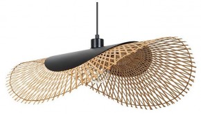 Подвесной светильник Arte Lamp Woodstock A7063SP-1BK в Добрянке - dobryanka.ok-mebel.com | фото