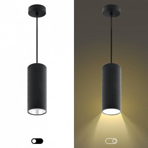 Подвесной светильник Эра  PL12 GX53 BK/SL в Добрянке - dobryanka.ok-mebel.com | фото 5