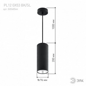 Подвесной светильник Эра  PL12 GX53 BK/SL в Добрянке - dobryanka.ok-mebel.com | фото 8