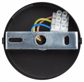 Подвесной светильник Эра  PL12 GX53 BK/SL в Добрянке - dobryanka.ok-mebel.com | фото 9