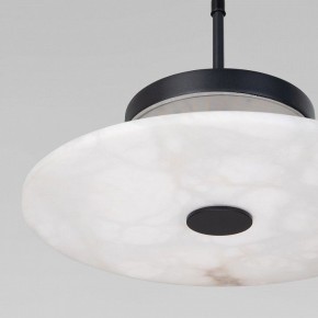 Подвесной светильник Eurosvet Thasos 40342 LED черный в Добрянке - dobryanka.ok-mebel.com | фото 8