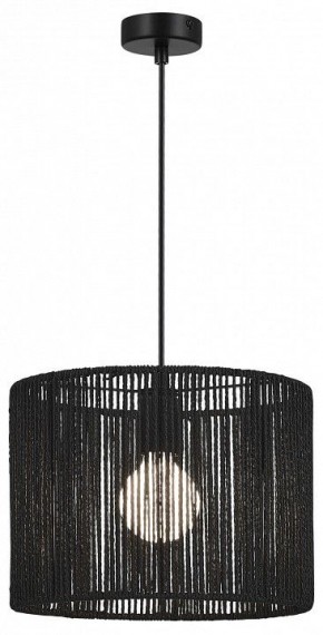 Подвесной светильник EVOLUCE ETTAN SLE6024-403-01 в Добрянке - dobryanka.ok-mebel.com | фото 2
