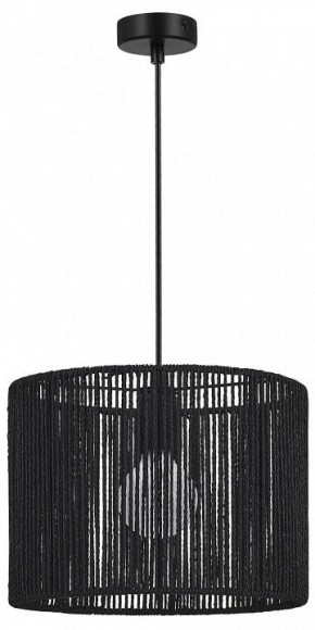 Подвесной светильник EVOLUCE ETTAN SLE6024-403-01 в Добрянке - dobryanka.ok-mebel.com | фото 4