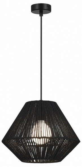 Подвесной светильник EVOLUCE ETTAN SLE6025-403-01 в Добрянке - dobryanka.ok-mebel.com | фото 2