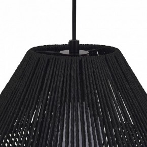 Подвесной светильник EVOLUCE ETTAN SLE6025-403-01 в Добрянке - dobryanka.ok-mebel.com | фото 7