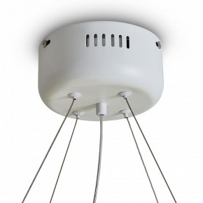 Подвесной светильник Freya Rain FR5546PL-L60W в Добрянке - dobryanka.ok-mebel.com | фото 9