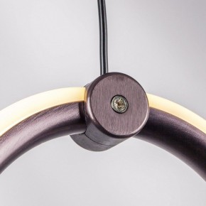 Подвесной светильник Lightstar Caramello 796113 в Добрянке - dobryanka.ok-mebel.com | фото 9