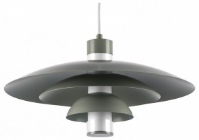 Подвесной светильник Lightstar Erbareo 799019 в Добрянке - dobryanka.ok-mebel.com | фото