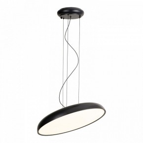 Подвесной светильник Lussole Crook LSP-7360 в Добрянке - dobryanka.ok-mebel.com | фото 2