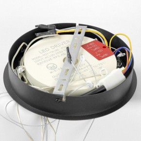 Подвесной светильник Lussole Hale LSP-7380 в Добрянке - dobryanka.ok-mebel.com | фото 6