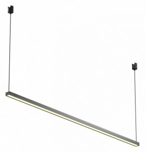 Подвесной светильник Maytoni Basis TR170-1-52W3K-B в Добрянке - dobryanka.ok-mebel.com | фото