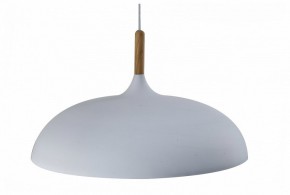 Подвесной светильник Moderli Hygo V11447-1P в Добрянке - dobryanka.ok-mebel.com | фото