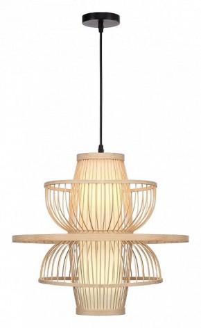 Подвесной светильник ST-Luce ALMA SL6241.513.01 в Добрянке - dobryanka.ok-mebel.com | фото 2