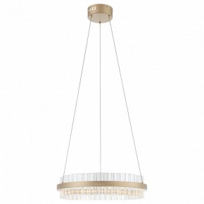 Подвесной светильник ST-Luce Cherio SL383.203.01 в Добрянке - dobryanka.ok-mebel.com | фото 3