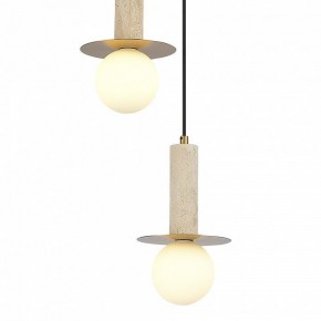 Подвесной светильник ST-Luce Earthy SL1194.303.03 в Добрянке - dobryanka.ok-mebel.com | фото 4