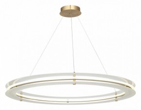Подвесной светильник ST-Luce FAGY SL6245.213.01 в Добрянке - dobryanka.ok-mebel.com | фото 4