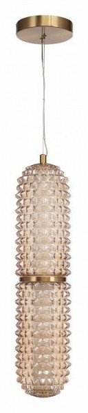 Подвесной светильник ST-Luce SAGUARO SL6144.303.01 в Добрянке - dobryanka.ok-mebel.com | фото 3