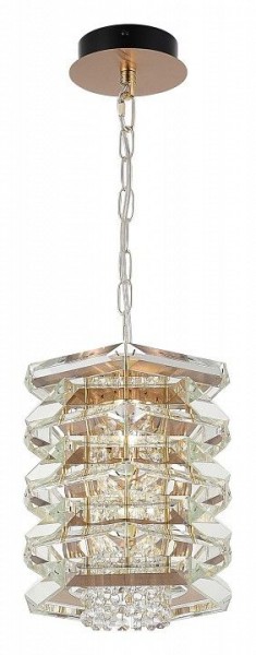 Подвесной светильник ST-Luce STROZZI SL6137.203.01 в Добрянке - dobryanka.ok-mebel.com | фото 4