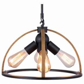 Подвесной светильник TopLight Jasmin TL1179H-04BK в Добрянке - dobryanka.ok-mebel.com | фото