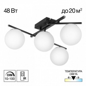 Потолочная люстра Citilux Dorsy CL223142 в Добрянке - dobryanka.ok-mebel.com | фото 9