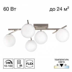 Потолочная люстра Citilux Dorsy CL223151 в Добрянке - dobryanka.ok-mebel.com | фото 2