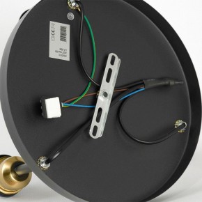 Потолочная люстра Lussole Mitchel LSP-8996 в Добрянке - dobryanka.ok-mebel.com | фото 5