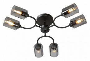 Потолочная люстра Vitaluce V2823 V2823-1/6PL в Добрянке - dobryanka.ok-mebel.com | фото 2