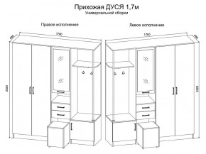 Прихожая Дуся 1.7 УНИ (Дуб Бунратти/Белый Бриллиант) в Добрянке - dobryanka.ok-mebel.com | фото 2