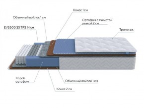 PROxSON Матрас Active Duo M/F (Ткань Трикотаж Эко) 120x200 в Добрянке - dobryanka.ok-mebel.com | фото 7