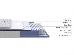 PROxSON Матрас Active Duo S/F (Ткань Трикотаж Эко) 120x195 в Добрянке - dobryanka.ok-mebel.com | фото 2