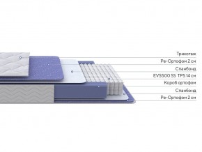 PROxSON Матрас Active F (Ткань Трикотаж Эко) 80x200 в Добрянке - dobryanka.ok-mebel.com | фото 2