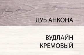 Шкаф 1DW, OLIVIA, цвет вудлайн крем/дуб анкона в Добрянке - dobryanka.ok-mebel.com | фото 3