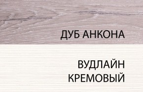 Шкаф 2DG, OLIVIA, цвет вудлайн крем/дуб анкона в Добрянке - dobryanka.ok-mebel.com | фото 3