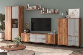 Шкаф комбинированный Онтарио 474.06 в Добрянке - dobryanka.ok-mebel.com | фото 5