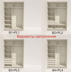 Шкаф-купе 1400 серии SOFT D8+D2+B2+PL4 (2 ящика+F обр.штанга) профиль «Графит» в Добрянке - dobryanka.ok-mebel.com | фото 6