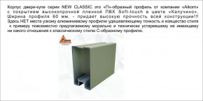 Шкаф-купе 1500 серии NEW CLASSIC K3+K3+B2+PL1 (2 ящика+1 штанга) профиль «Капучино» в Добрянке - dobryanka.ok-mebel.com | фото 5