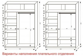 Шкаф-купе 1600 серии SOFT D6+D4+B2+PL2 (2 ящика+1штанга+1 полка) профиль «Капучино» в Добрянке - dobryanka.ok-mebel.com | фото 8