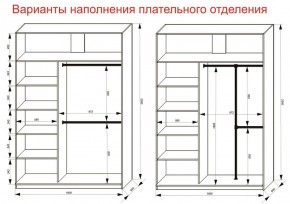 Шкаф-купе 1600 серии SOFT D6+D4+B2+PL2 (2 ящика+1штанга+1 полка) профиль «Капучино» в Добрянке - dobryanka.ok-mebel.com | фото 9