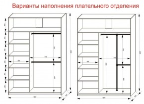 Шкаф-купе 1600 серии SOFT D6+D6+B2+PL3 (2 ящика+2штанги) профиль «Капучино» в Добрянке - dobryanka.ok-mebel.com | фото 7