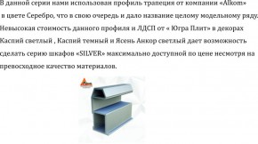 Шкаф-купе 2250 серии SILVER S3+S1+S3Z B22+PL2 (по 2 ящика лев/прав+1штанга+1 полка) профиль «Серебро» в Добрянке - dobryanka.ok-mebel.com | фото 4