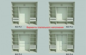 Шкаф-купе 2450 серии NEW CLASSIC K6Z+K1+K6+B22+PL2 (по 2 ящика лев/прав+1 штанга+1 полка) профиль «Капучино» в Добрянке - dobryanka.ok-mebel.com | фото 6