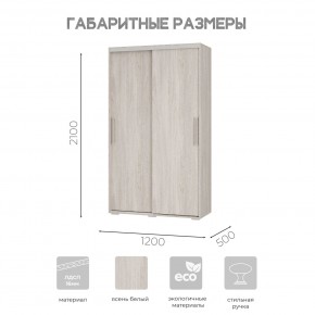 Шкаф-купе ШКК-11 (ясень белый) в Добрянке - dobryanka.ok-mebel.com | фото 7