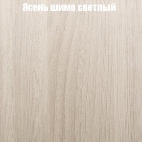 Шкаф-купе «ТАНДЕМ» 2-х дверный в алюминиевом профиле (Дверь К+К) 1200/h2200 в Добрянке - dobryanka.ok-mebel.com | фото 6